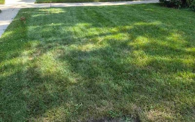 Photo of Abe A.'s yard after getting lawn care in Macomb, MI