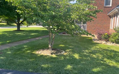 Photo of Scott G.'s yard after getting lawn care in Statesville, NC