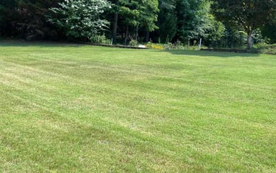 Photo of Gary H.'s yard after getting lawn care in Conyers, GA