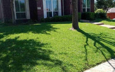 Photo of Linh M.'s yard after getting lawn care in Lewisville, TX