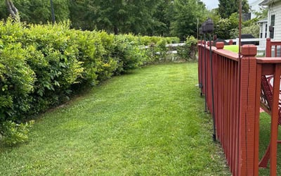 Photo of Darleen L.'s yard after getting lawn care in Friendswood, TX