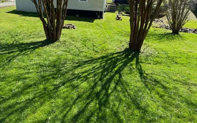Photo of Linda F.'s yard after getting lawn care in Deltona, FL
