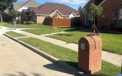 Photo of Bill D.'s yard after getting lawn care in Sandy, OR