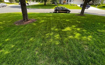 Photo of Brian S.'s yard after getting lawn care in York, PA