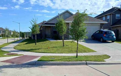 Photo of Royetta F.'s yard after getting lawn care in Floral Park, NY