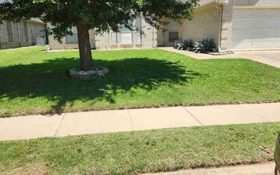 Photo of Dallas G.'s yard after getting lawn care in Valrico, FL