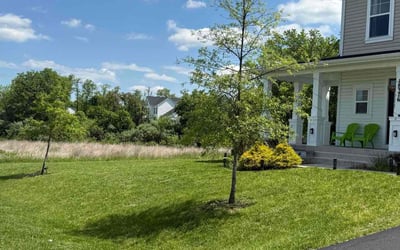 Photo of Janet J.'s yard after getting lawn care in Dale City, VA