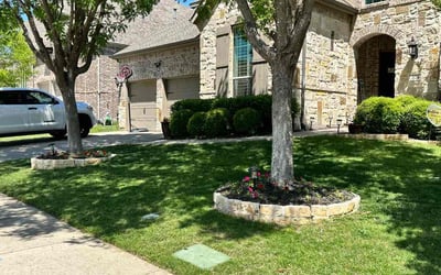 Photo of Adrian A.'s yard after getting lawn care in Belton, TX