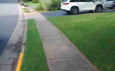 Photo of Victoria T.'s yard after getting lawn care in Canandaigua, NY