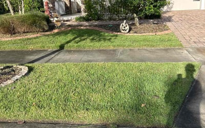 Photo of Nayoun L.'s yard after getting lawn care in Campbell, CA