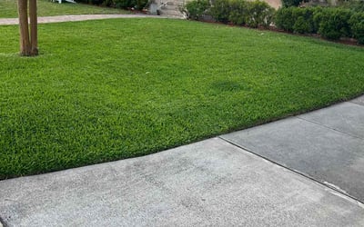 Photo of Steven S.'s yard after getting lawn care in Vail, AZ