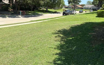 Photo of Brandi B.'s yard after getting lawn care in Peachtree City, GA