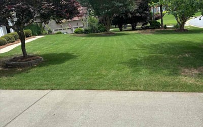 Photo of Zulfan B.'s yard after getting lawn care in New City, NY