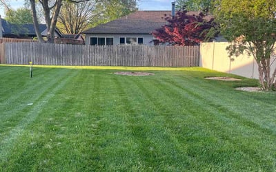 Photo of Julie P.'s yard after getting lawn care in Cahokia, IL