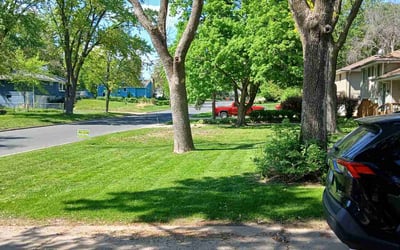 Photo of Janet C.'s yard after getting lawn care in North Highlands, CA
