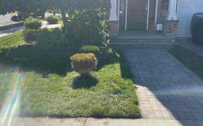 Photo of Darrell M.'s yard after getting lawn care in Kearny, NJ