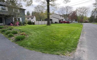 Photo of Will J.'s yard after getting lawn care in Delmar, NY
