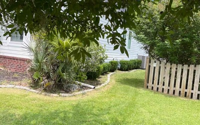 Photo of Virginia T.'s yard after getting tree care in Kissimmee, FL