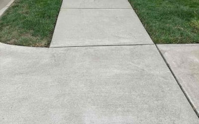 Photo of Marisol P.'s yard after getting lawn care in Bridgeton, NJ