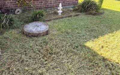 Photo of Derrick W.'s yard after getting lawn care in Greensboro, NC
