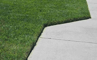 Photo of Matthew A.'s yard after getting lawn care in Lancaster, CA