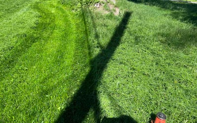 Photo of Anthony D.'s yard after getting lawn care in Woodridge, IL