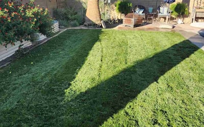 Photo of Sharyl T.'s yard after getting lawn care in Henderson, NV