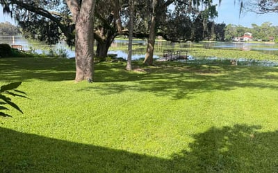 Photo of Ciara T.'s yard after getting lawn care in Richmond, TX