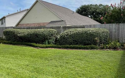 Photo of Asiana A.'s yard after getting lawn care in Villa Rica, GA