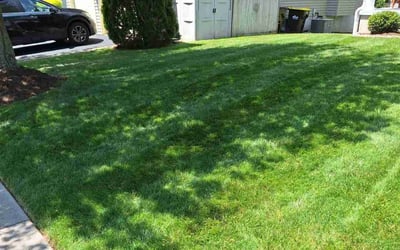 Photo of Deborah H.'s yard after getting lawn care in Schwenksville, PA