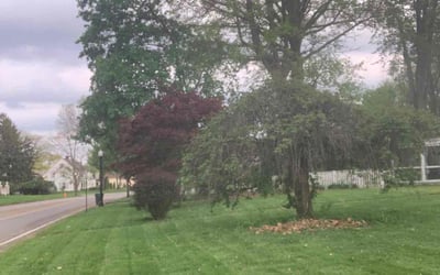 Photo of Kristine H.'s yard after getting lawn care in Columbus, OH