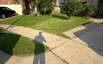 Photo of Shanequa G.'s yard after getting lawn care in Chula Vista, CA