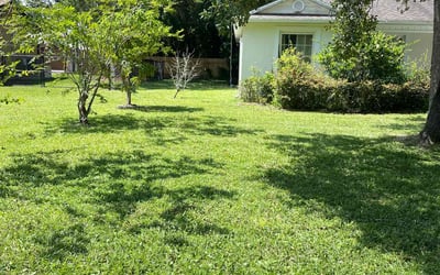 Photo of Stephanie S.'s yard after getting lawn care in Newport, RI