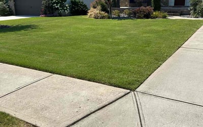 Photo of Roxanne Y.'s yard after getting lawn care in Manvel, TX