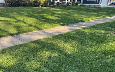 Photo of Mario C.'s yard after getting lawn care in Bethesda, MD