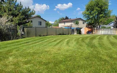 Photo of Janis L.'s yard after getting lawn care in Cottonwood Heights, UT