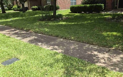 Photo of Armen B.'s yard after getting lawn care in Sugar Land, TX