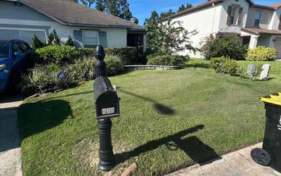Photo of Kastacia (.'s yard after getting lawn care in Lompoc, CA