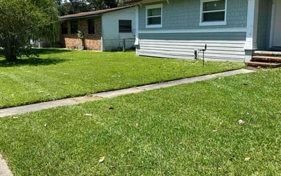 Photo of Nate D.'s yard after getting lawn care in Castro Valley, CA