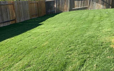 Photo of Joy S.'s yard after getting lawn care in Manor, TX