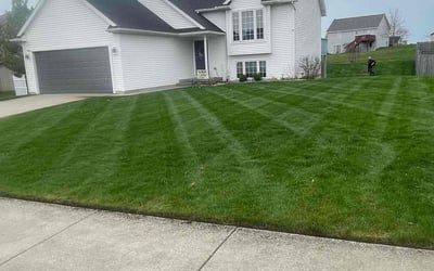 Photo of John M.'s yard after getting lawn care in Caledonia, MI