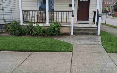 Photo of Kristina J.'s yard after getting lawn care in Covington, KY