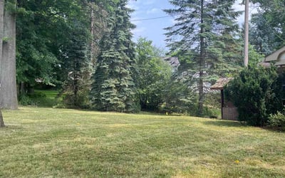 Photo of Angelar P.'s yard after getting lawn care in Wells, ME