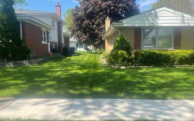 Photo of Nicole W.'s yard after getting lawn care in Des Plaines, IL