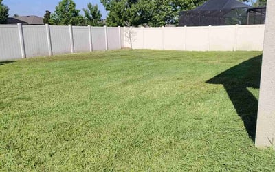 Photo of Dolly P.'s yard after getting lawn care in Spring Hill, FL