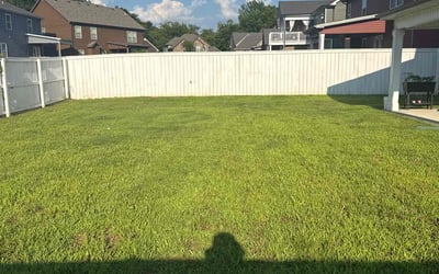 Photo of Shaz B.'s yard after getting lawn care in North Attleboro, MA