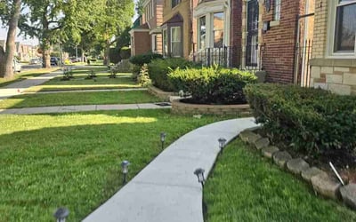 Photo of Rose W.'s yard after getting lawn care in Chicago, IL