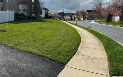Photo of Sharon K.'s yard after getting lawn care in Ocean City, MD