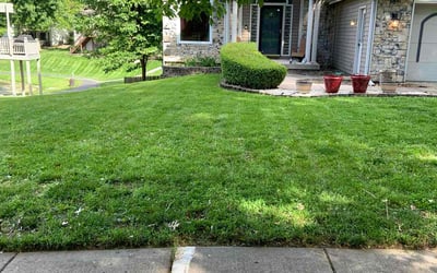 Photo of Ally S.'s yard after getting lawn care in Kansas City, MO
