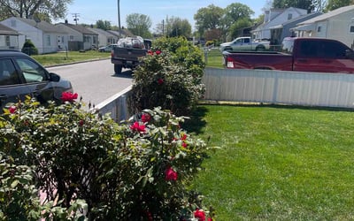 Photo of Alice H.'s yard after getting lawn care in Lockport, IL